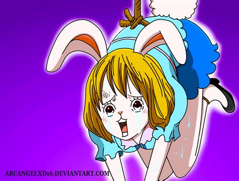 carrot hentai|carrot (one piece)